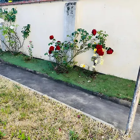 Apartment Le Flot *